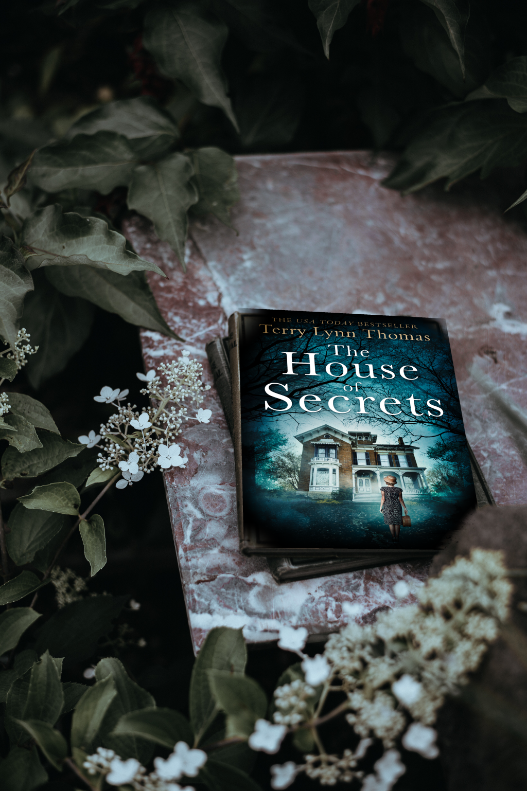 The House Of Secrets by Terry Lynn Thomas- Book Review