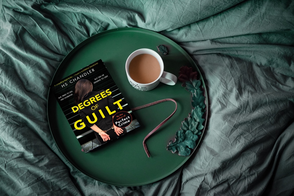 Degrees Of Guilt by HS Chandler – Book Review