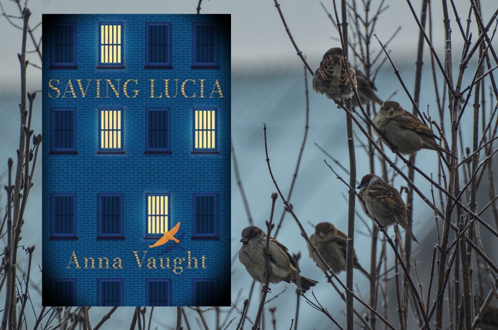 Saving Lucia by Anna Vaught – Book Review