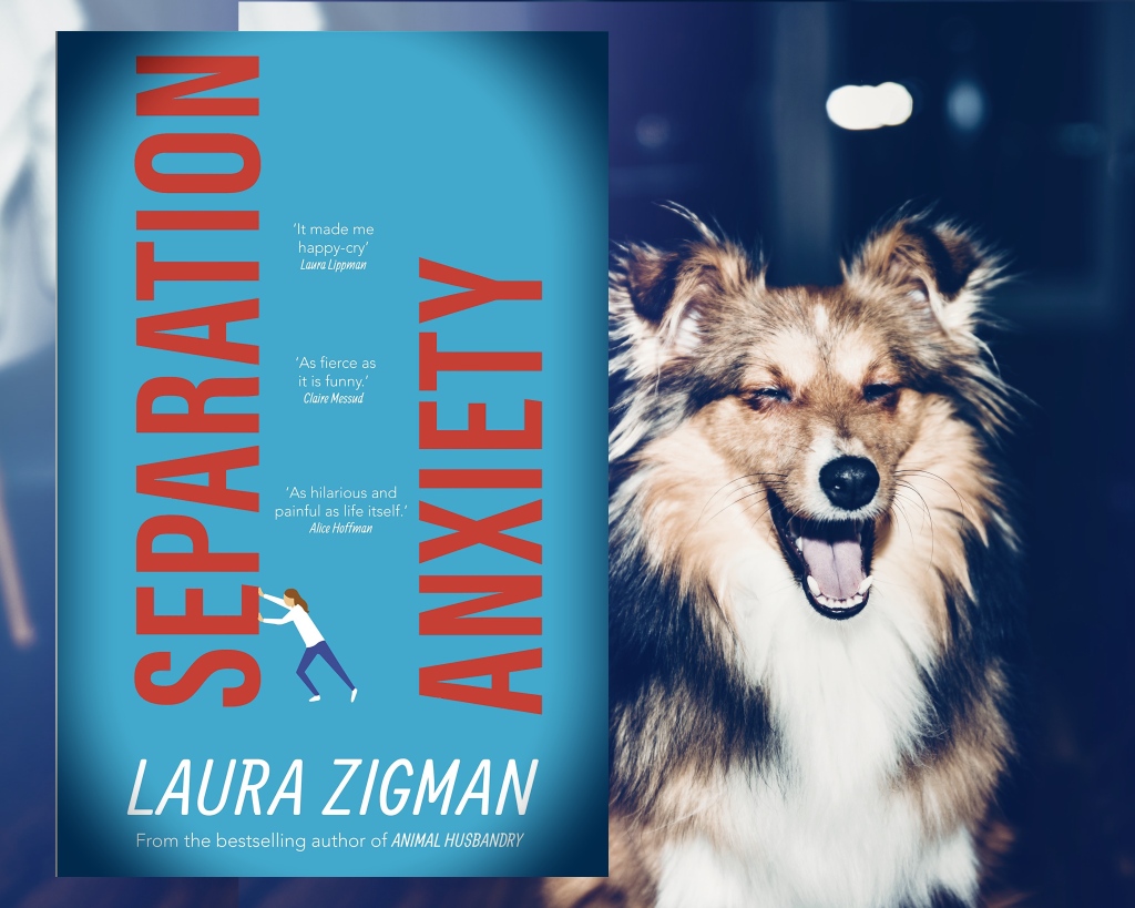 Separation Anxiety by Laura Zigman – Book Review